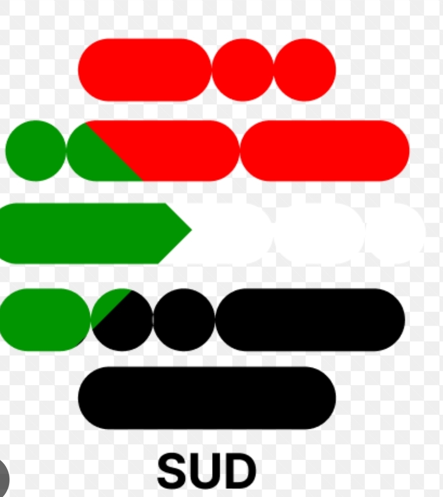  لجنة الانتخابات بالاتحاد السوداني للألعاب المائيه